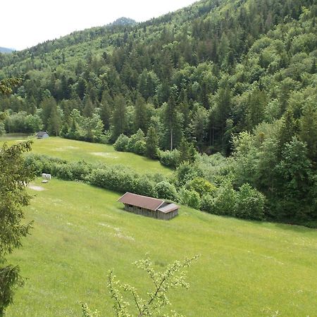 Kleine Einfache Ferienwohnung In Malerischer Umgebung Salzburgs Koppl Exterior photo